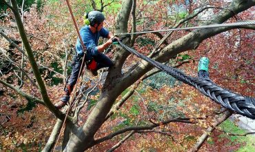 tree-climbing-archiverde-eupilio